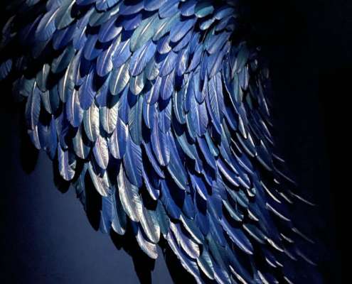 Sculpture d'aile en plumes bleues sous éclairage dramatique, scénographie Louis Vuitton Marrakech par Ponctuelle