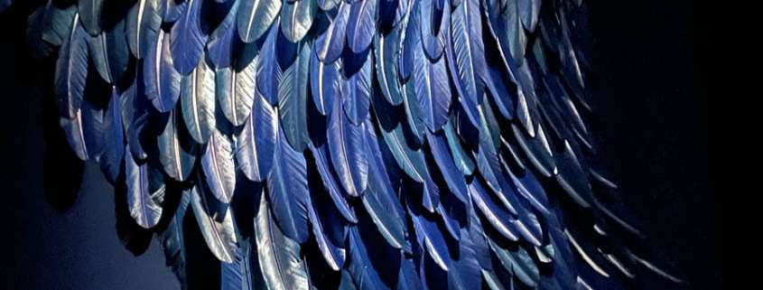 Sculpture d'aile en plumes bleues sous éclairage dramatique, scénographie Louis Vuitton Marrakech par Ponctuelle