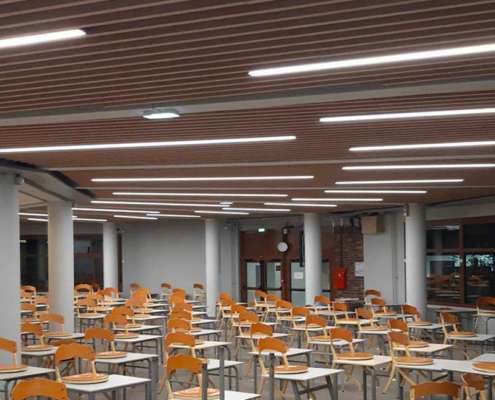 Détail du plafond à claustra bois avec lignes LED intégrées, salle du Collège Stanislas, Ponctuelle